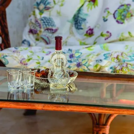 Vila Anka - Five-bedroom With Terrace And Swimming Pool *